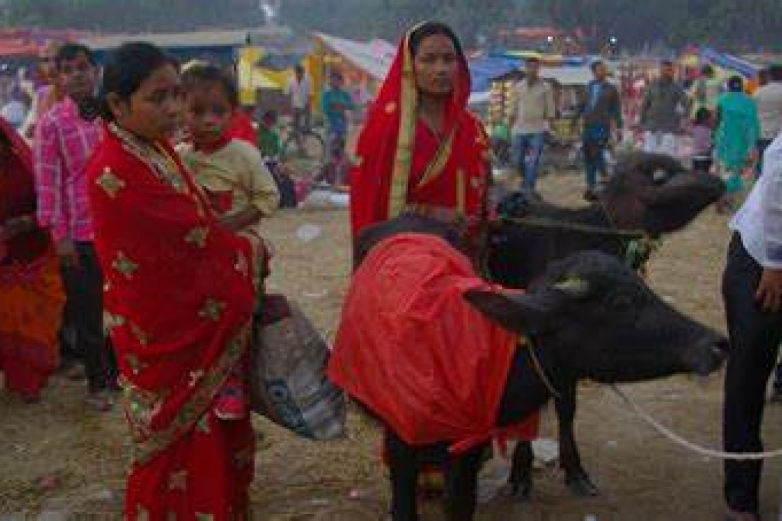 La Masacre de Gadhimai 