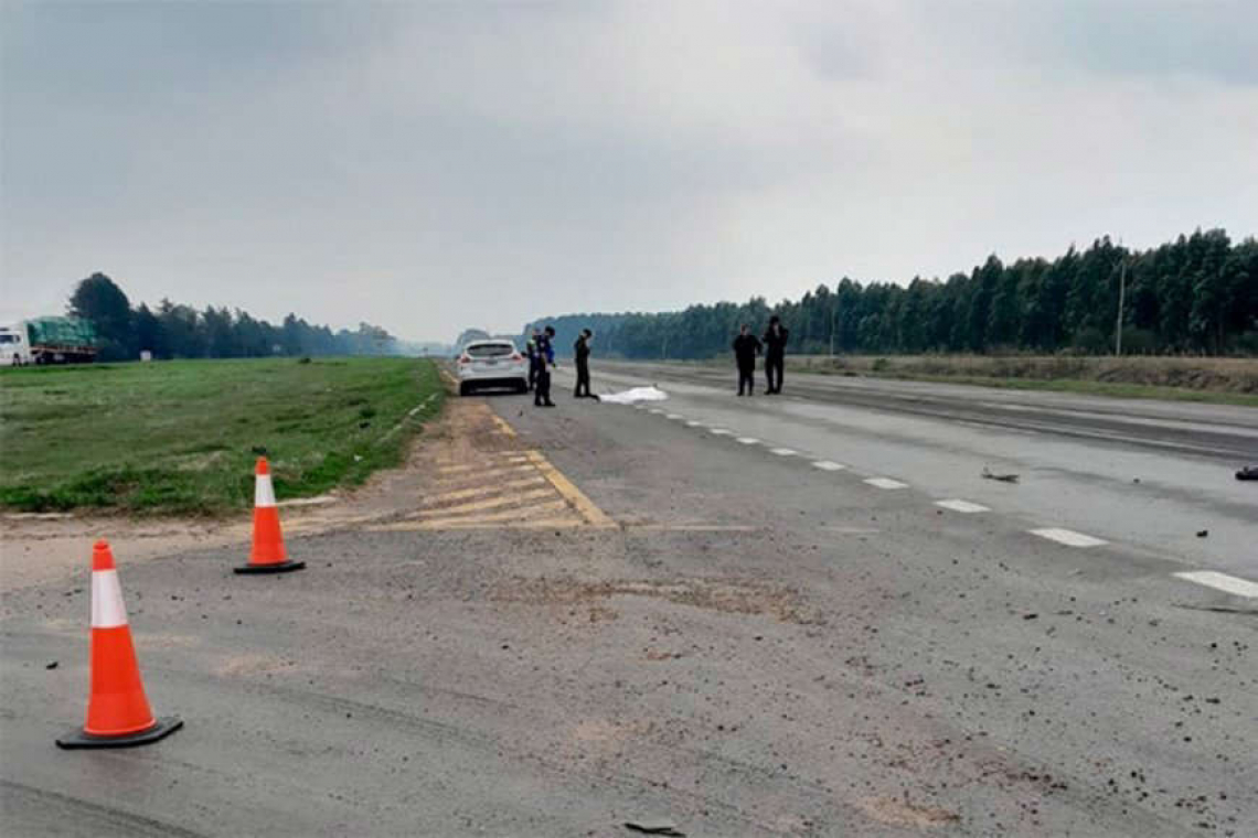 Entre Ríos: un hombre murió tras ser embestido en la ruta nacional 14 