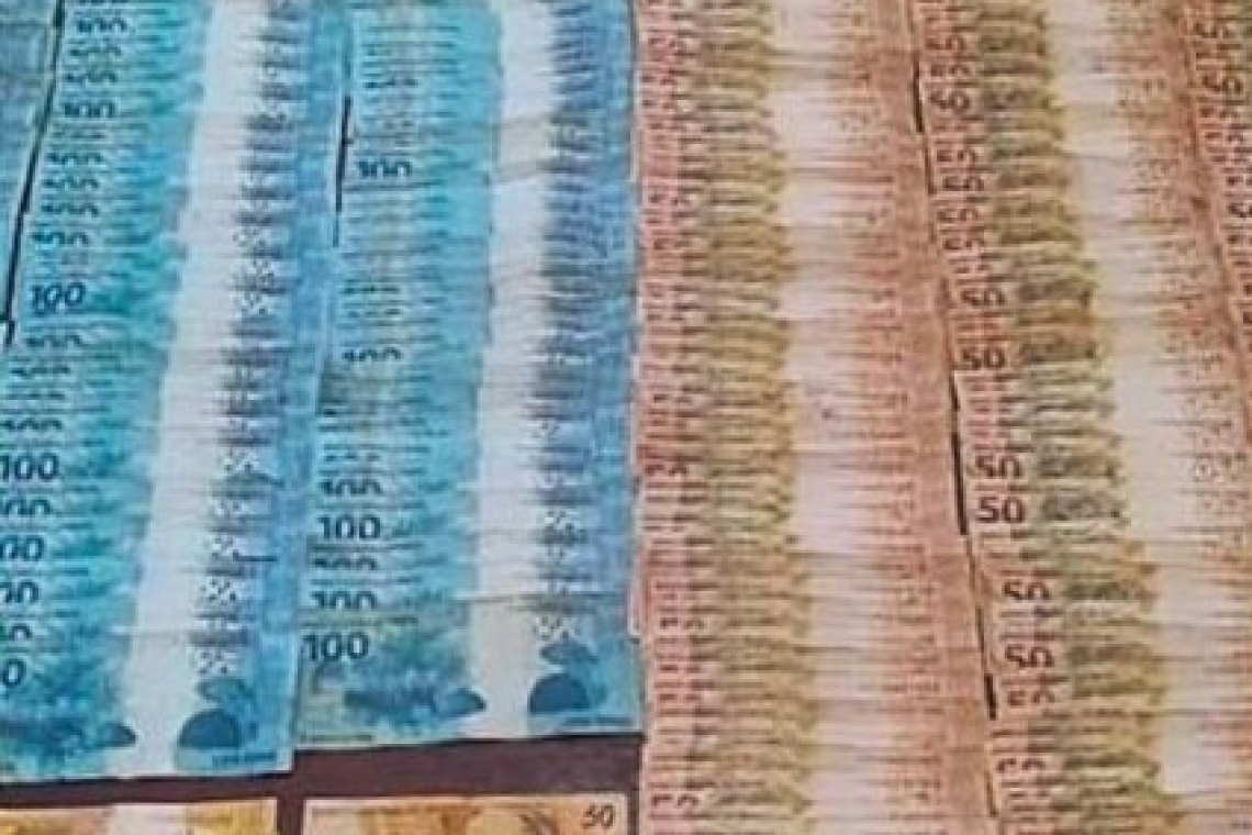 Estaba enterrado: recuperaron el botín del millonario robo a una chacra en Misiones 