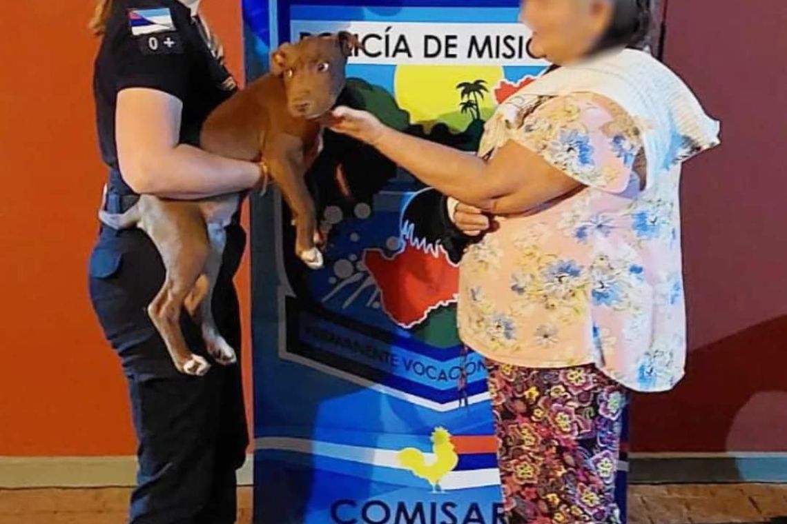 Misiones: allanamiento encuentra hasta al perro robado