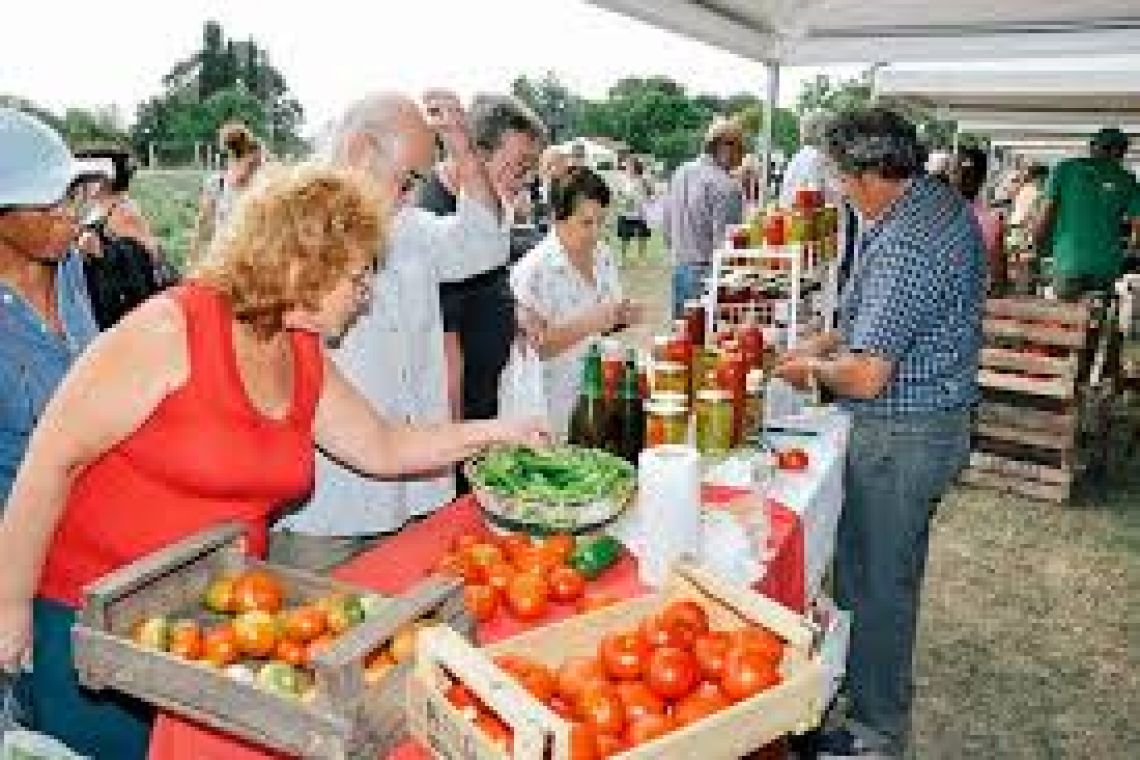 La Fiesta del Tomate Platense celebra su 20º edición con una jornada a pura gastronomía y cultura